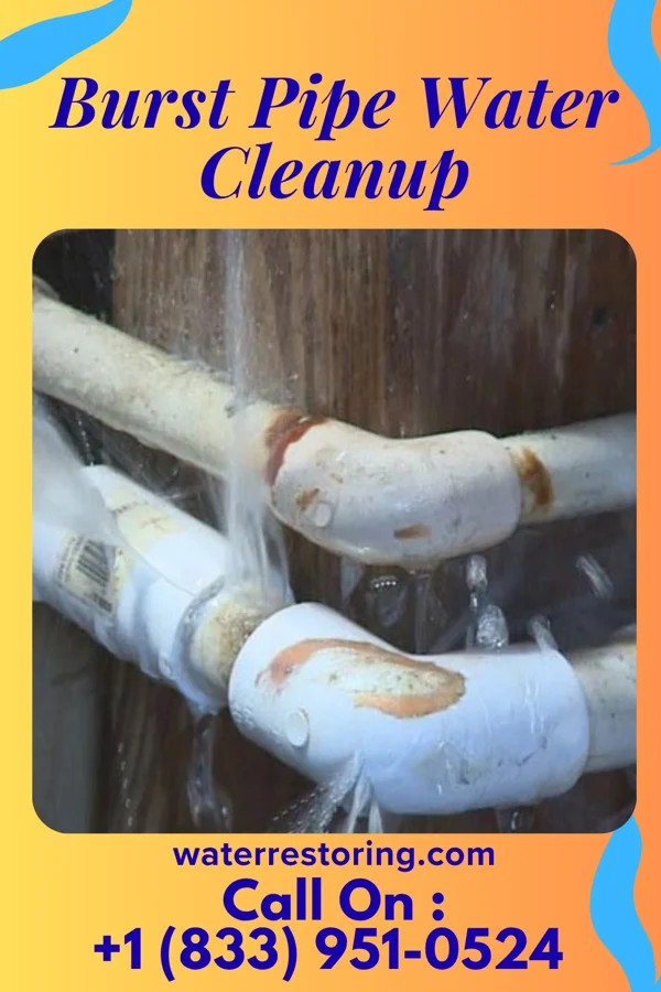 Burst Pipe Water Cleanup in Newbern, TN