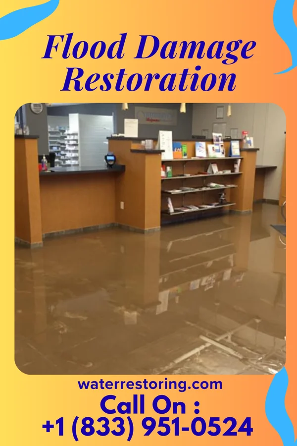 Flood Damage Restoration in Newbern, TN