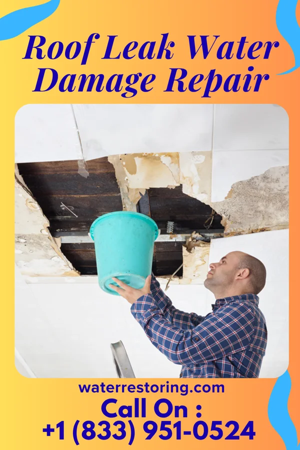 Roof Leak Water Damage Repair in Newbern, TN