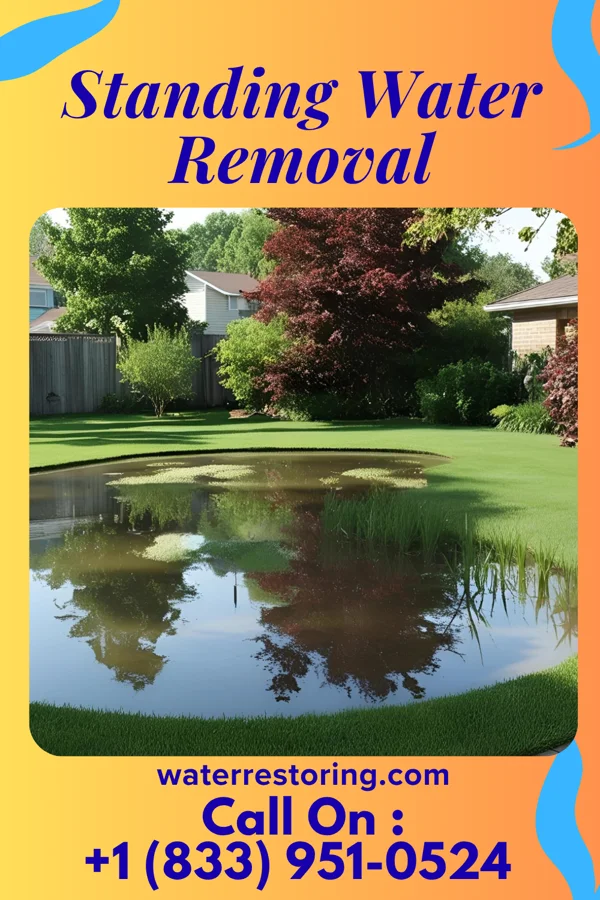 Standing Water Removal in Newbern, TN
